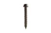 Picture of Evolution Stainless Steel Multi-Fix Concrete Screw